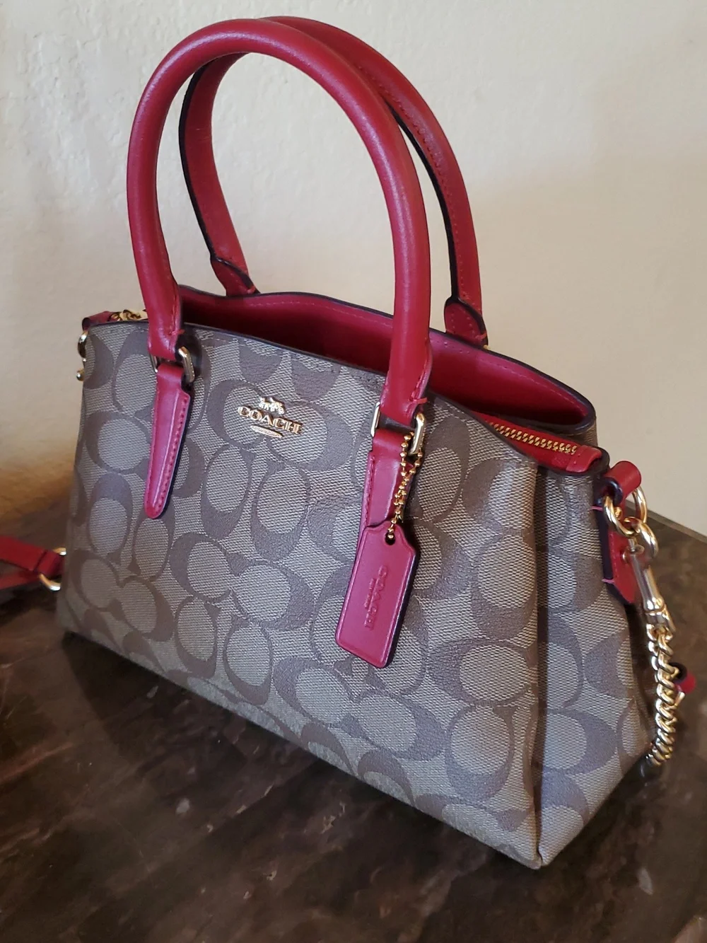 NEW Coach Mini Sage Signature Carryall